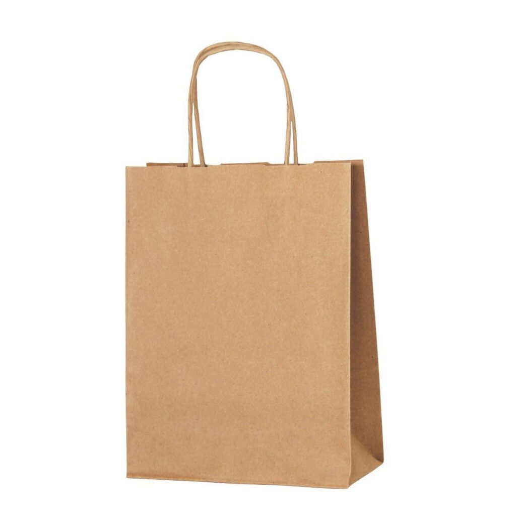 Brown Bag with Twisted Handle